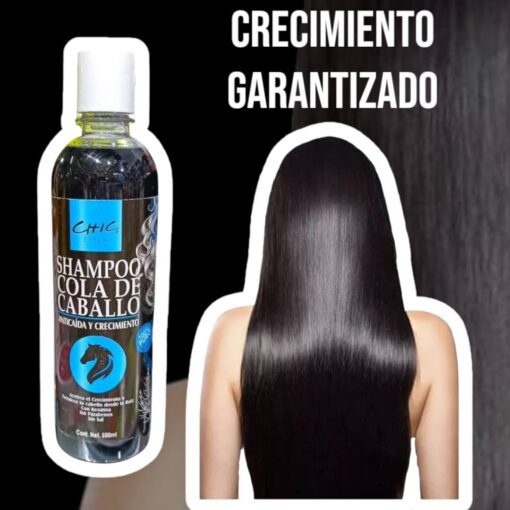 Shampoo cola de caballo - Imagen 2