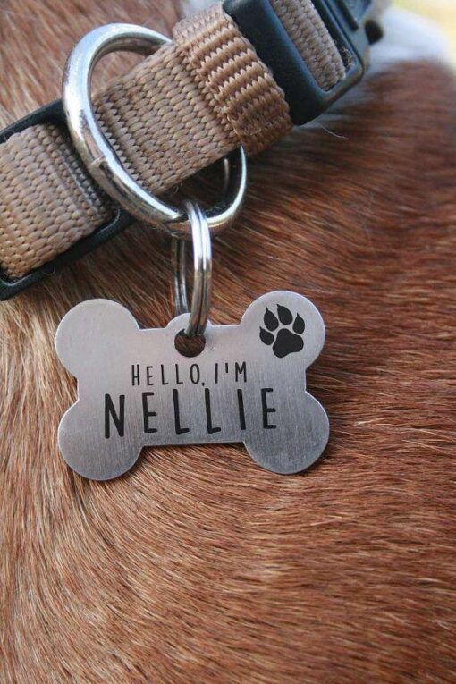 Placa Para Mascota🐕‍🦺🐶 - Imagen 5